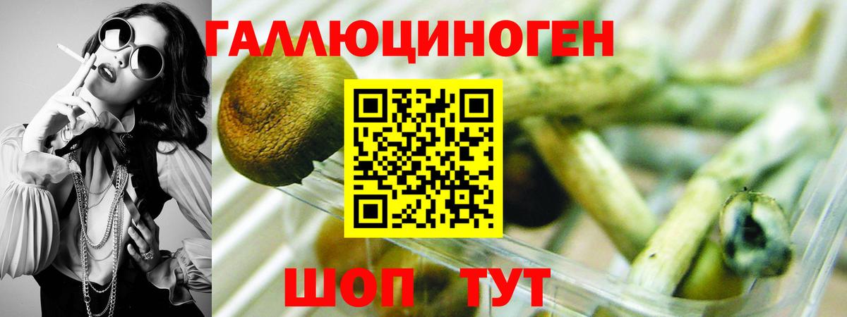 цена   Галлюциногенные грибы мухоморы  Большой Камень  Вход с VPN  Псилоцибиновые грибы Magic Shrooms 